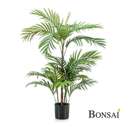 Palma Fenix 90cm v lončku - zelena - 76 do 100 cm