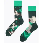 Kratke nogavice Dedoles - koala in listi, 39-42