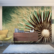 Foto tapeta - Focus on dandelion 350x270