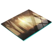 shumee Kuhinjska večnamenska dekorativna steklena tabla Megla v gozdu 60x52 cm
