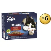 Felix Prelivi multipack, 72x85g