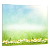 shumee STEKLENA PLOŠČA ZA KUHINJO 65x60 Marjetice
