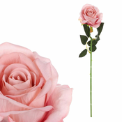 Autronic Vrtnice, barvna svetloba roza, žamet. KN6123 ROZA-LT