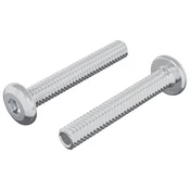 vidaXL vidaXL Zaklepni vijak Enobarvno 2 pcs srebrna M6 x 35 mm Jeklo, (5000163942)