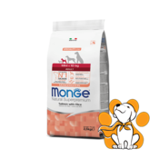 Monge Mini