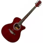 FLIGHT akustična gitara GUITARS F-230C WR