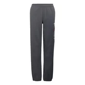ADIDAS TERREX Outdoor hlače Minecraft azur / temno siva / črna / bela