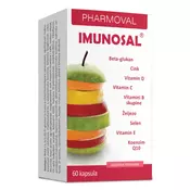 IMUNOSAL KAPSULE A60 NEMUS LEX