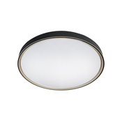 LED prigušiva plafonska svetiljka EBRO LED/36W/230V 2700-6500K + daljinski upravljac