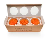 shumee Stabilizirana vrtnica - oranžna - oranžna - XL - 3 kosi