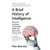 Brief History of Intelligence