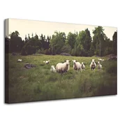 shumee Platno z napisom Narava Ovce na pašniku 80x50 cm