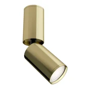 Maytoni Tehnični fokus S Stropna svetilka Maytoni C051CL-01BS