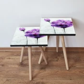 Hanah Home Set klub stocica 2Shp312, 2 komada, Šareni