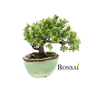 Umetni bonsai v glazirani posodi 20 cm Ficus - do 25 cm