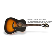 EPIPHONE akustična kitara PRO-1 PLUS VS