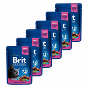 Vrečka BRIT Premium Cat Chicken & Turkey 6x100 g