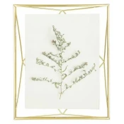 Umbra okvir za slike 20 x 25