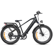 ENGWE ENGWE E26 Fat Tire Step-Through električno kolo 250 W 48 V 16 Ah 120 km dosega z dvojnim vzmetenjem E-kolo za vse terene - črno, (21249943)