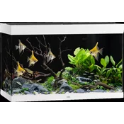 Juwel Akvarij Rio 290 LED - bijela