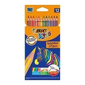shumee BIC EVOLUTION STRIPES BARVICE 12 BARV 9102