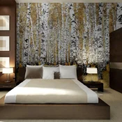 Foto tapeta - Autumnal birch forest 400x309