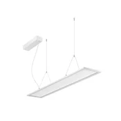 BRUMBERG LED-viseča svetilka Adara 119,5 cm TunableWhite, prosojna - Študija/pisarna - bel mat - Aluminij