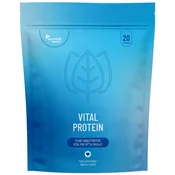 Essentials Vital Protein s shilajitom, visok odmerek - vegansko, 20 porcij