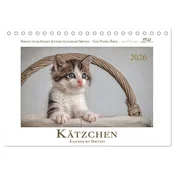 Kätzchen-Kalender mit Sprüchen (Tischkalender 2026 DIN A5 quer), CALVENDO Monatskalender