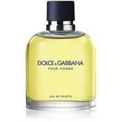 Dolce & Gabbana Pour Homme toaletna voda za moške 125 ml