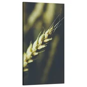 shumee Platno Botanika Pšenični klas 60x120 cm