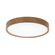 Aigostar - LED plafonsko svetlo LED/24W/230V 3000K precnik 38,3 cm