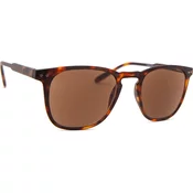 I Need You Reading Sun Playa Tortoise/Brown
