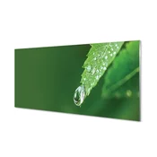 tulup.si Slika na akrilnem steklu Vodni padec leaf 120x60 cm 2 obešalnika