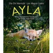 Ayla - meine ungewöhnliche Freundschaft mit einem jungen Fuchs