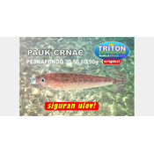 Pauk Crnac