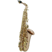 Altovski saksofon AS-202G Roy Benson