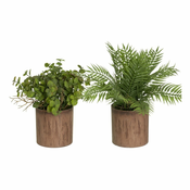 Umetne rastline v kompletu 2 ks (višina 22 cm) – Casa Selección