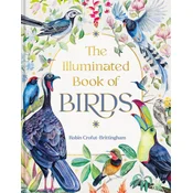 The Illuminated Book of Birds