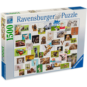 Ravensburger Slagalica Životinje, 1500 delova