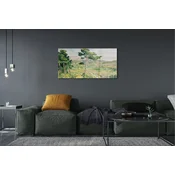 tulup.si Zidna obloga za kuhinju Umetnost pogled na travnik 140x70 cm