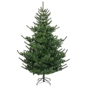Novogodišnja jelka 180 cm zelena Greenway spruce Everlands 68.9881 Novogodišnja jelka 180 cm zelena Greenway spruce Everlands 68.9881 Novogodišnja jelka 180 cm zelena Greenway spruce Everlands 68.9881 Novogodišnja jelka 180 cm zelena Greenway spruce Everl