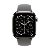 Apple Watch 42mm Sport Band:  Stone Gray Sport Band - M/L