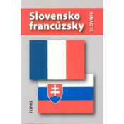 Slovník francúzsko-slovenský/slovensko-francúzsky