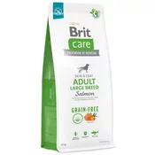 Brit Care Dog Grain-Free Adult Large Breed losos & krompir - Varčno pakiranje: 2 x 12 kg