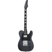 Schecter PT EX Dorian Gray elektricna gitara