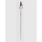 Völkl Phantastick W Poles 2025 Ski Poles silver