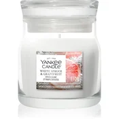 Yankee Candle White Spruce & Grapefruit dišeča sveča Signature 110 g
