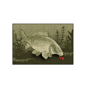 Predpražnik Delphin Catch Me Carp