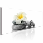 Slika - White Lotus 120x40